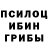 Галлюциногенные грибы Psilocybine cubensis Ashraf Osman