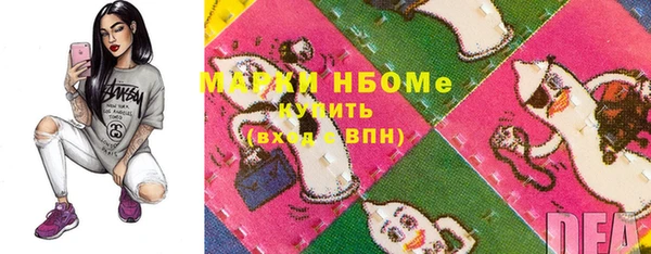 гашик Аркадак