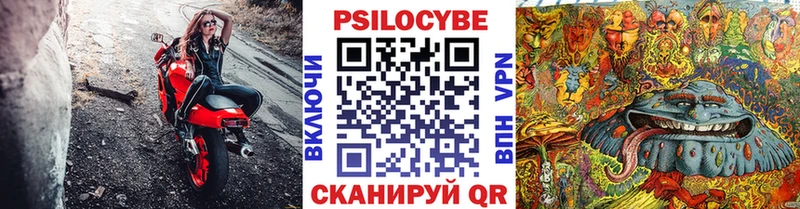 Псилоцибиновые грибы MAGIC MUSHROOMS где купить наркотик Полесск